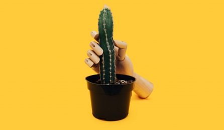 Asexualidad ¿No te interesa el sexo? Tú también puedes 'salir del armario'