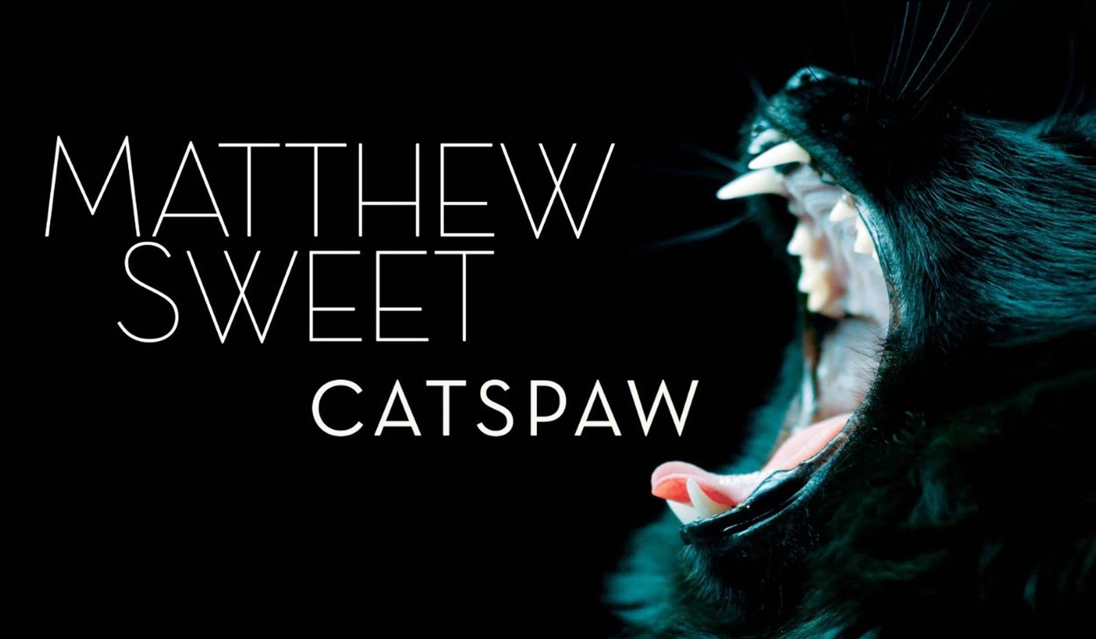 Matthew Sweet y su nuevo álbum 'Catspaw' en solitario