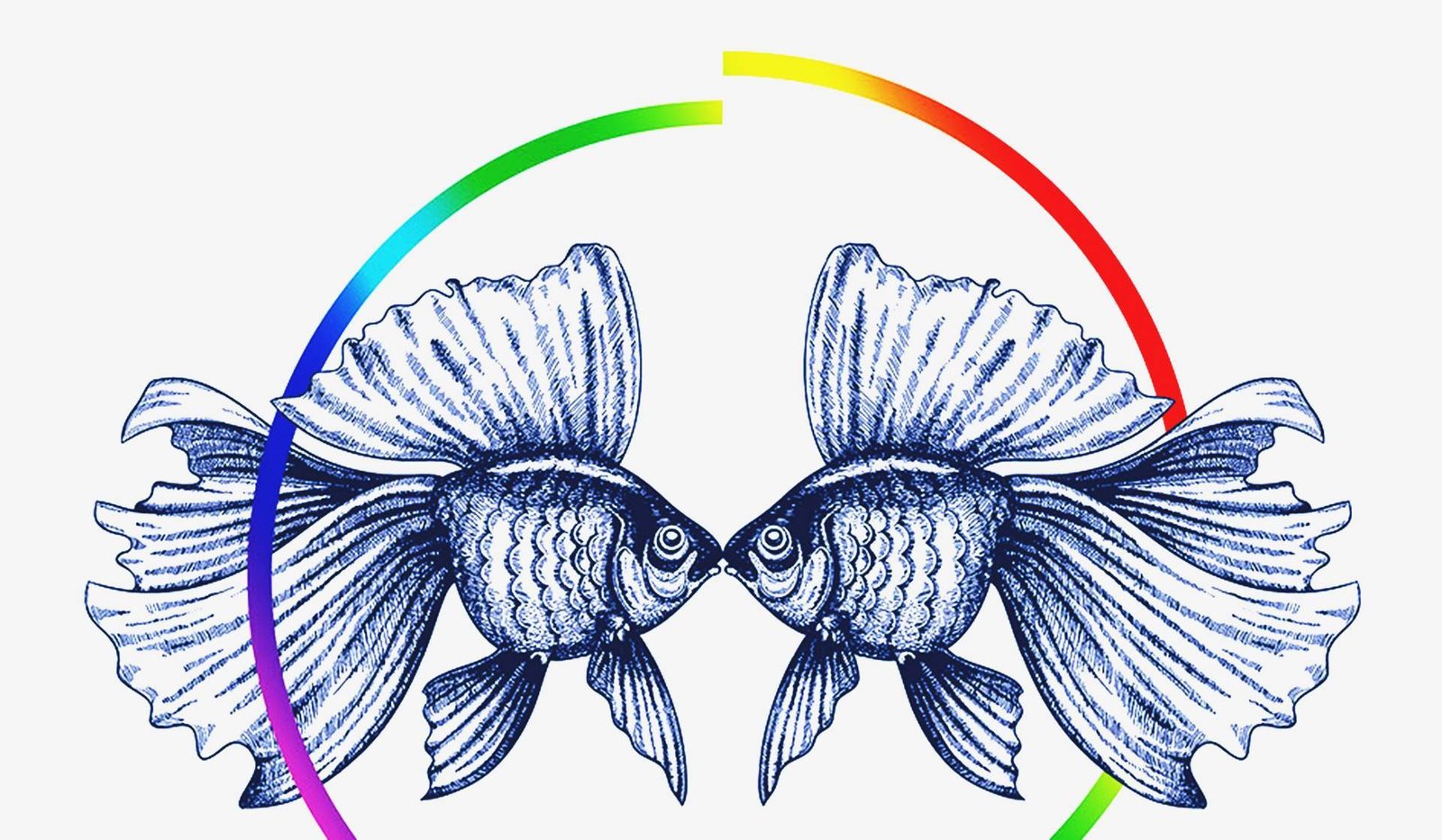 'El arcoíris de la evolución', de Joan Roughgarden