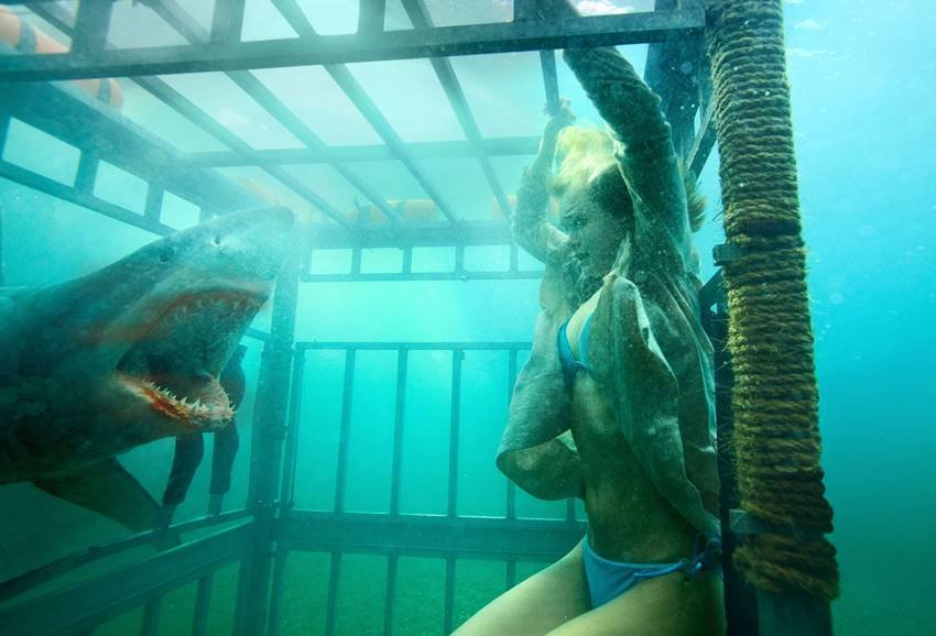Shark Night 3D. Mejores películas de tiburones.