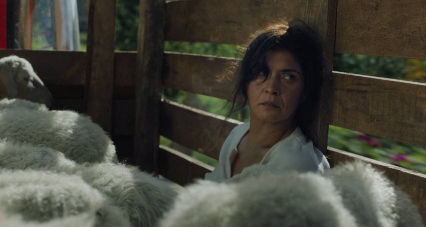 Janet Novás en O Corno.