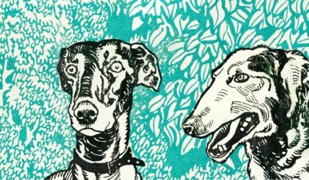 Reseña de "Perros" de Naka Kansuke