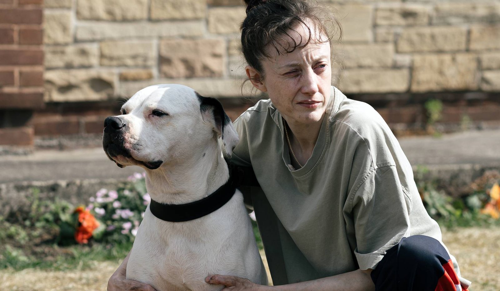 Reseña de la película Dragonfly