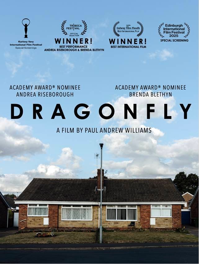 Póster de Dragonfly.